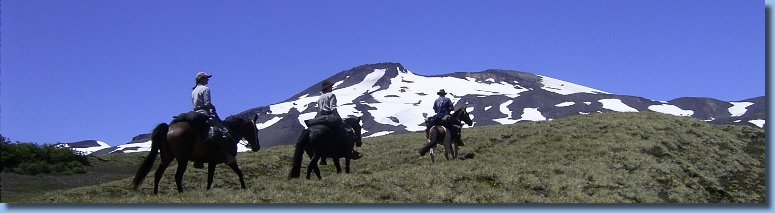 Group of riders heading towards a mountain on the volcano trail ride in NP Villarrica, Chile