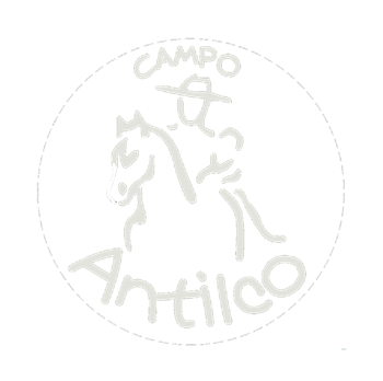 Logo Antilco: rider on horseback